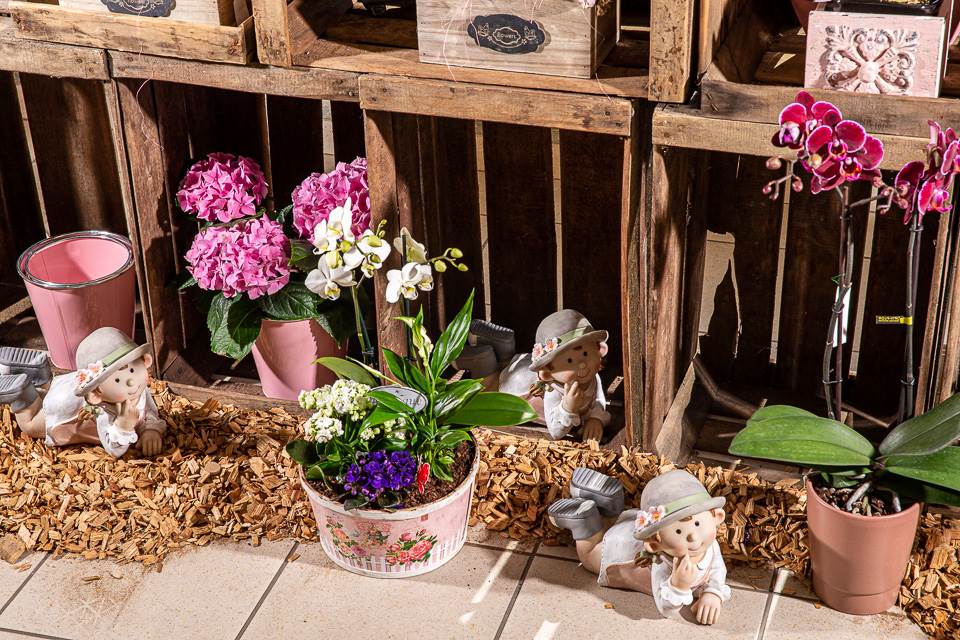 Soleil, ciel bleu, bourgeons et premières fleurs : le printemps est bel est bien arrivé !