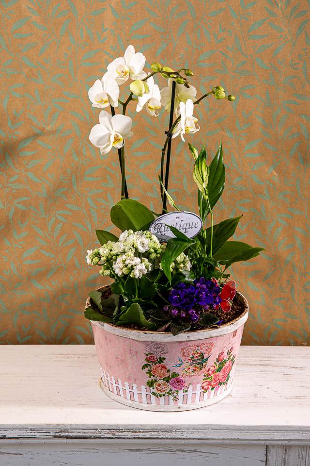 Fleurs pour la fête des grands-mères à Creutzwald : une idée cadeau qui plaît à tous les coups